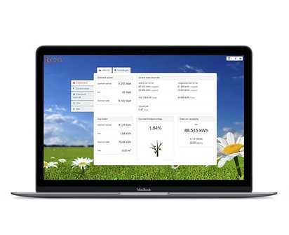 CEMM basic energieverbruiksmanager 2 CEMM basic energieverbruiksmanager - Afbeelding 2